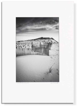 Seaside Park, New Jersey 2011 - fenceline in sand, portrait orientation
