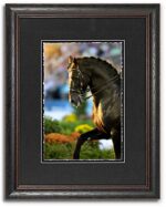 Dressage III - World Equestrian Series - John Stephen Hockensmith