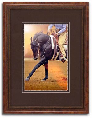 Reining III - World Equestrian Series - John Stephen Hockensmith