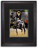 Dressage - World Equestrian Series - John Stephen Hockensmith