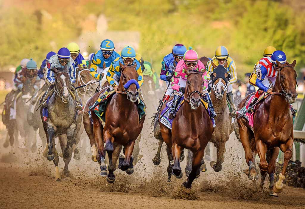 American Pharoah - Photo Clip Sized for Home Page - Featured Art