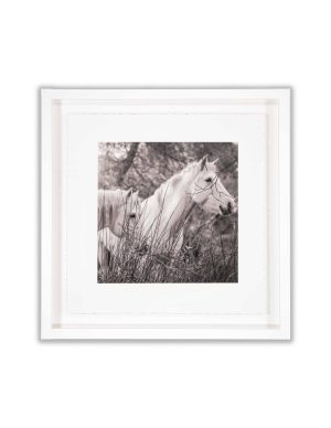 Chevaux en Eden