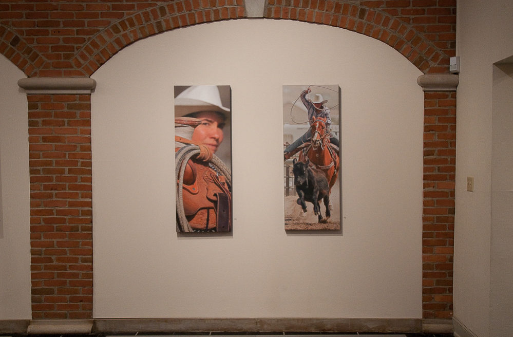 Spanish Mustangs - Headley/Whitney Exhibit 6
