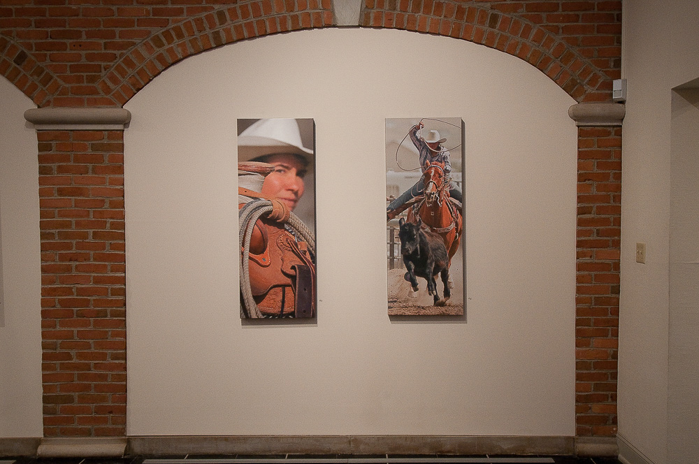 Spanish Mustangs - Headley/Whitney Exhibit 6