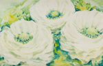 White Flowers - Denice Dawn