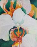 White Orchid on Fire - Denice Dawn