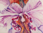 Blush of Orchid - Denice Dawn