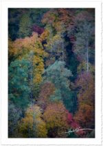 Autumn Patchwork - John Stephen Hockensmith