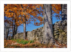 Autumn at St. Francis - John Stephen Hockensmith