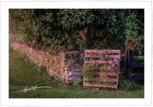 Rock Wall and Morning Glory - John Stephen Hockensmith