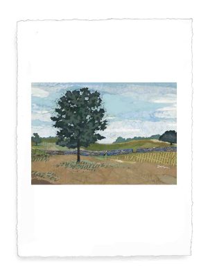 Horseman's Poplar