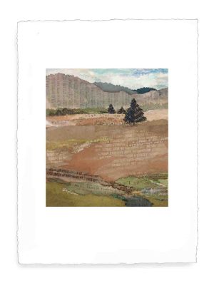 Widow's Meadow