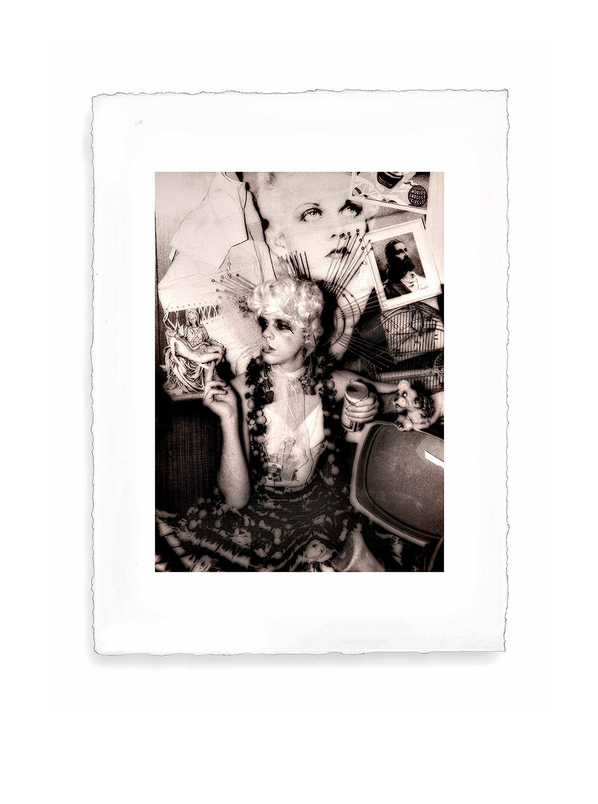 carousel image
