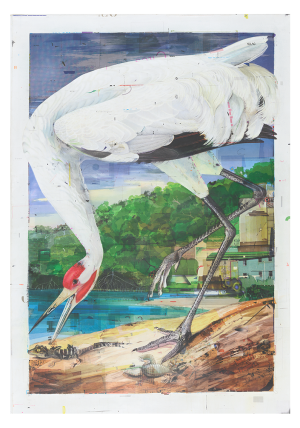 Whooping Crane Print