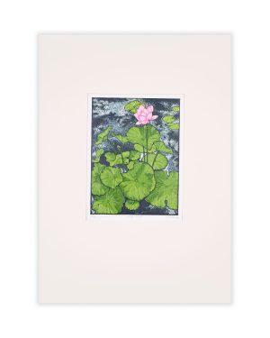 Lily Pond