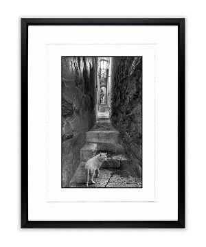 End of the Alley