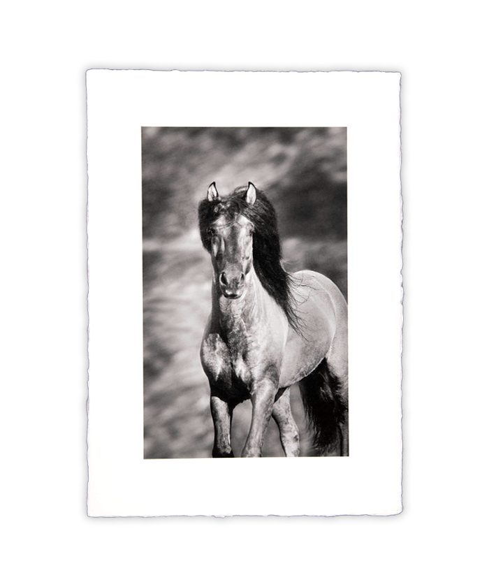 carousel image
