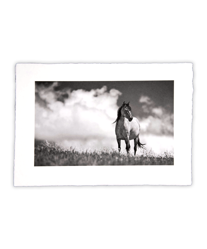 carousel image