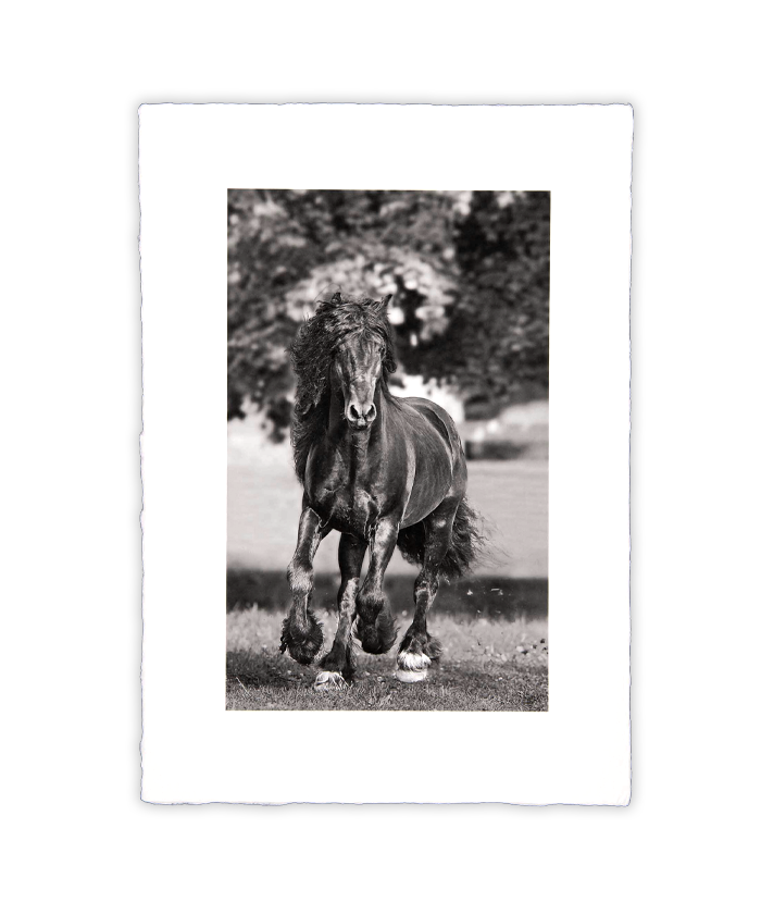 carousel image
