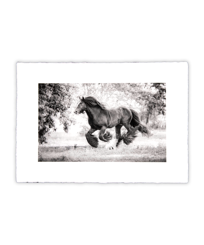 carousel image