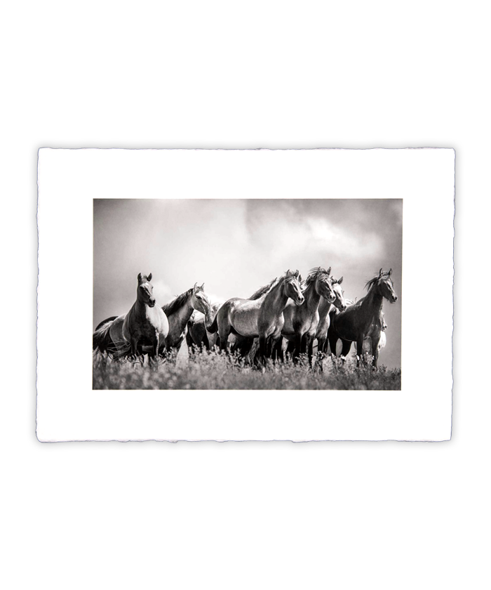carousel image